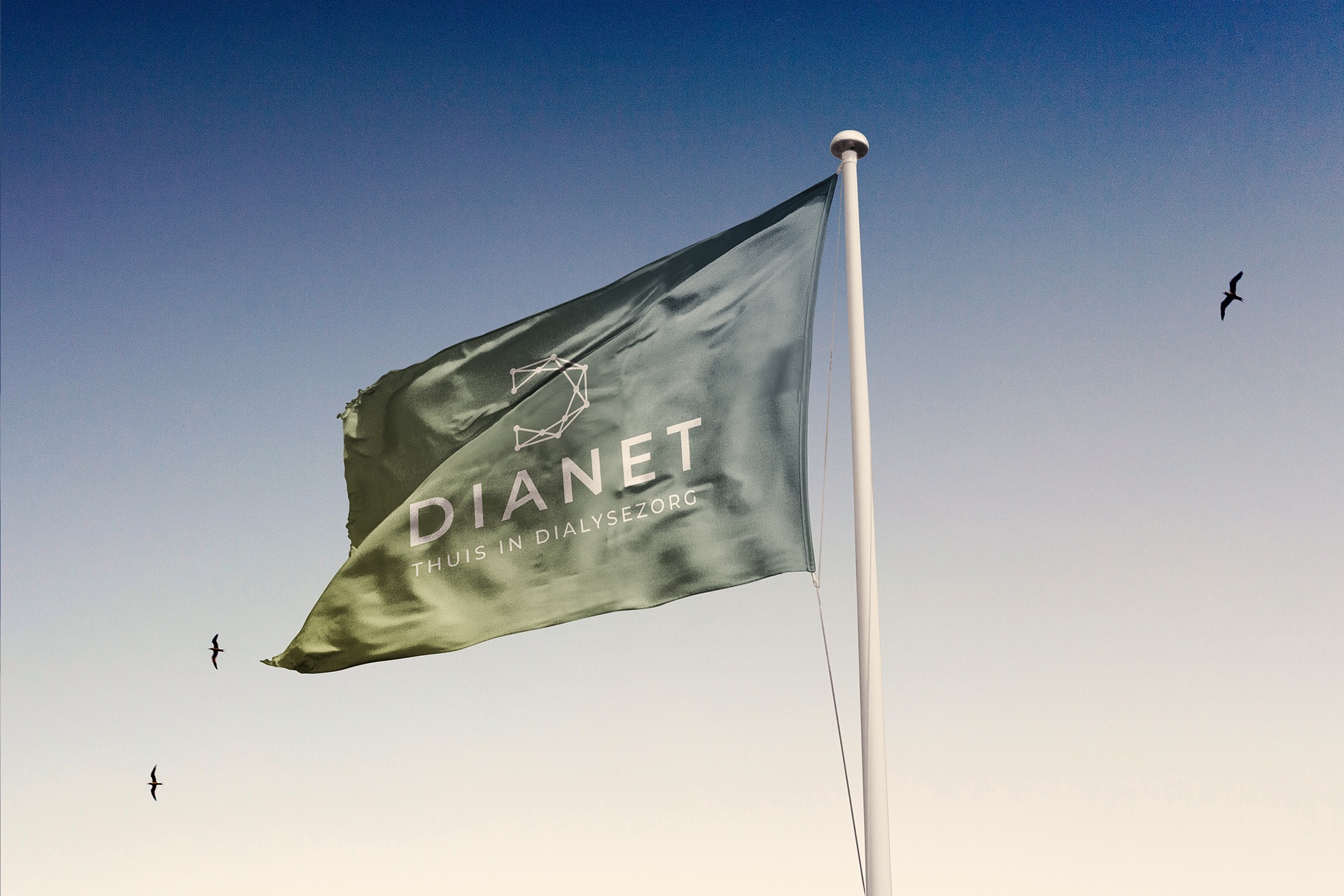 Dianet mockup vlag